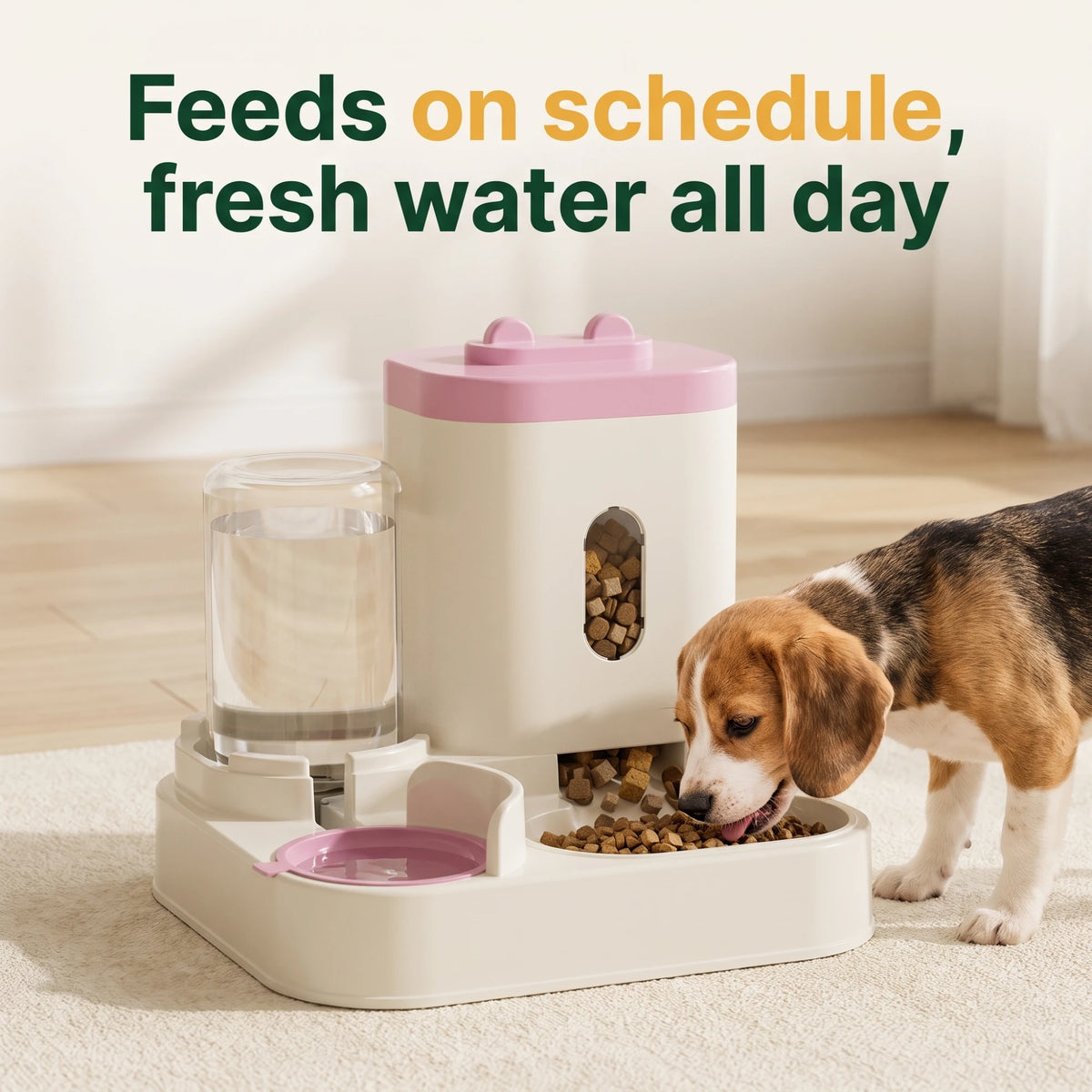 Feeds on schedule, fresh water all day - automatic pet feeder with beagle