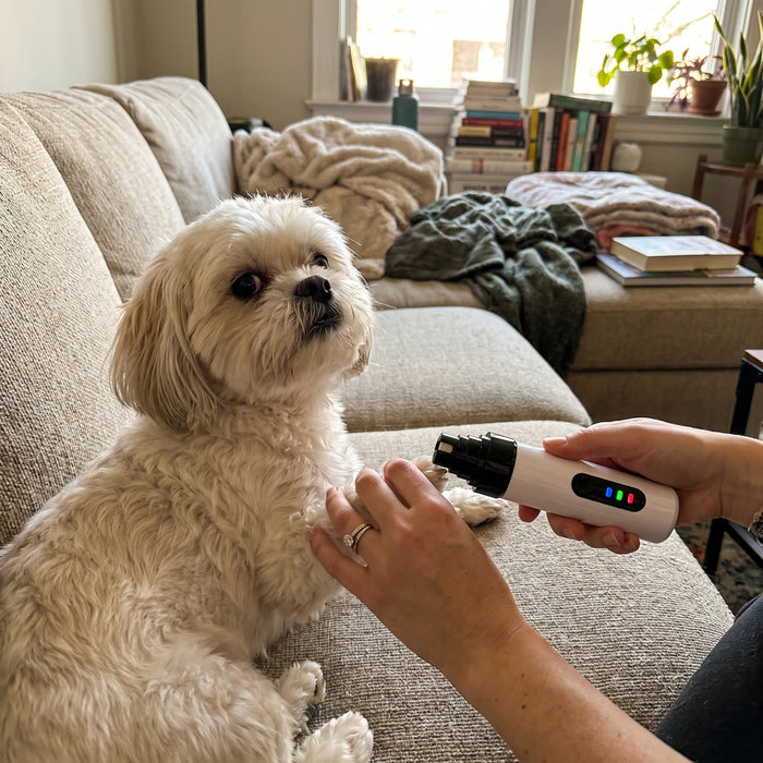 Sniff, touch, treat